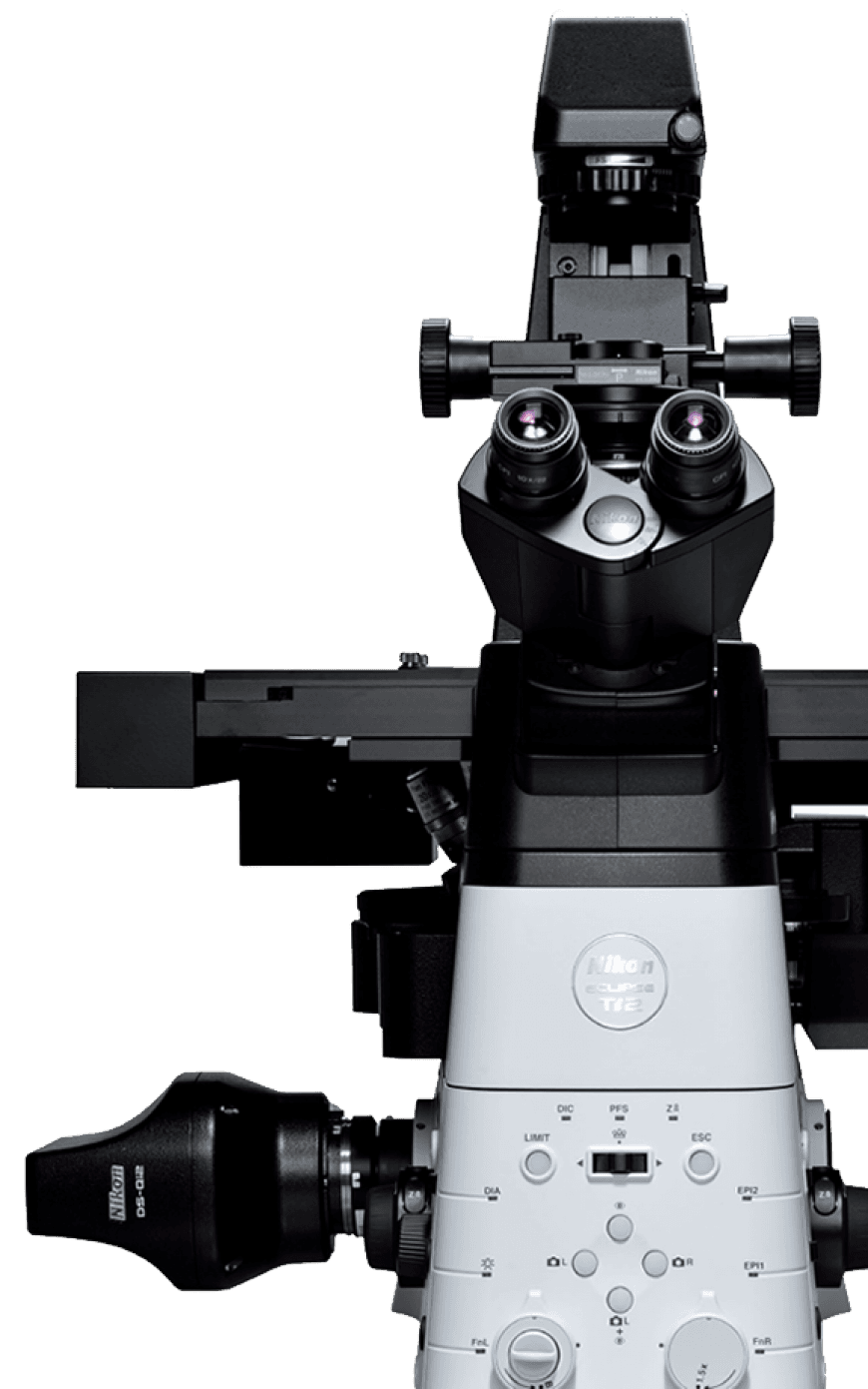 Microscopio Nikon